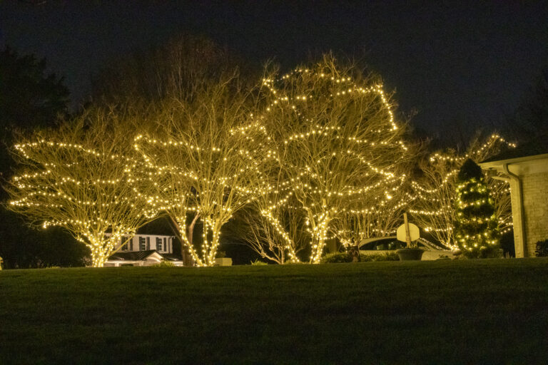 Holiday Light install in Charlotte NC